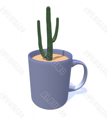 cactus cactus