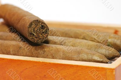 cigars are in a box. Cigars close up.