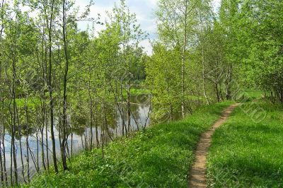 Landscape with small river and birches