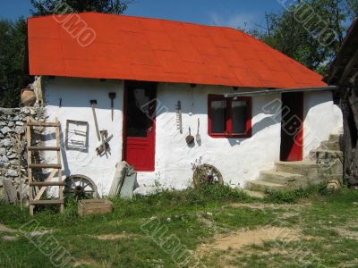 Specific Romanian House