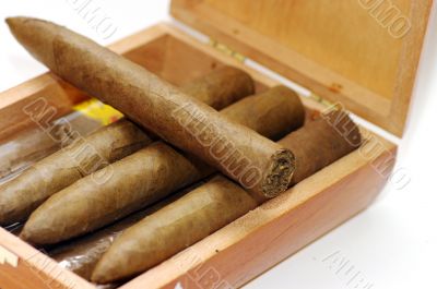 cigars texture. Cigars in box.