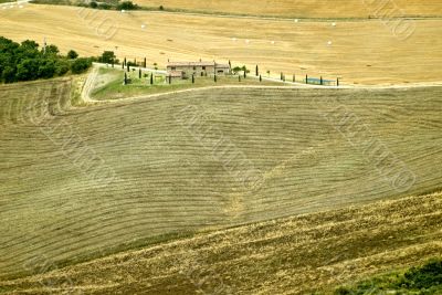 Landscape in Val d`Orcia (Tuscany)