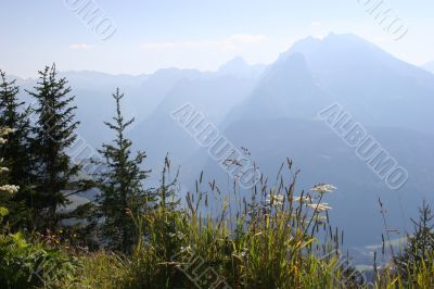 Beautiful bavarian idyll - plants and herbs