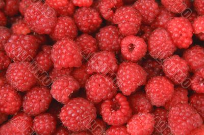 Appetizing raspberry background
