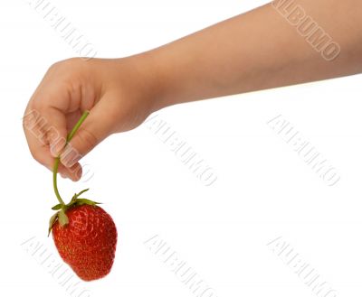 Strawberry in child`s hand