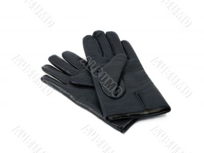 Leather gloves