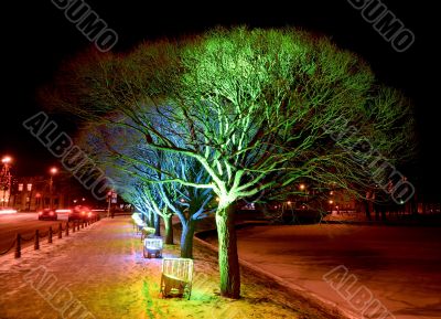 Christmas illumination of street