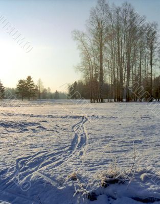 Winter landscape Winter landscape