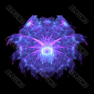 Fractal Fractal