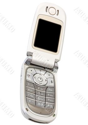 Silvery cellular telephone