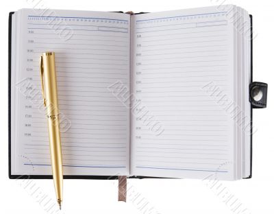 Diary book