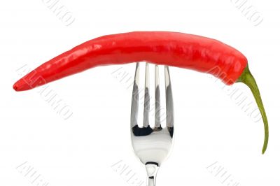 pepper pepper