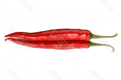 single red pepper