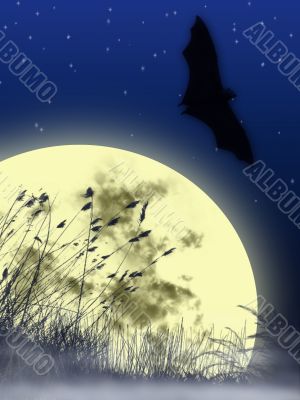 moon &amp; bat