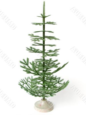 fir tree
