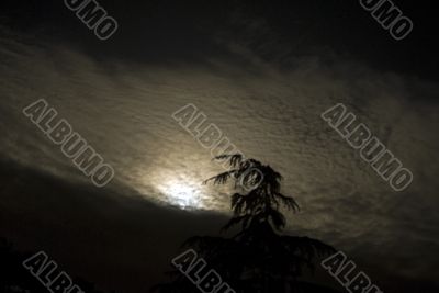 Moonlight in Tuscany