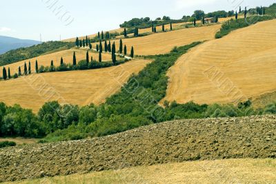 Famous winding road with cypresses in Tuscany