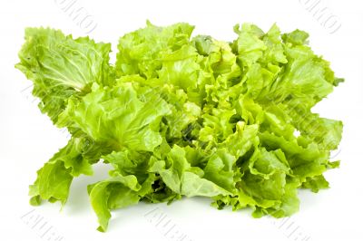 lettuce lettuce