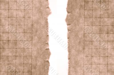 ripped paper