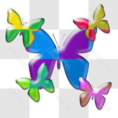 butterflies in dual colors