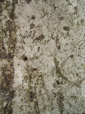 cement background