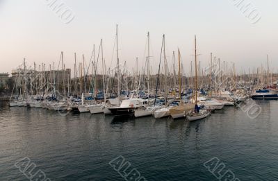 Yachts at harbor