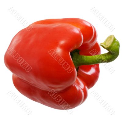 Sweet bell red paprica