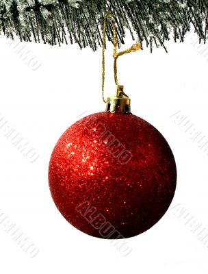Christmas Tree Christmas Tree