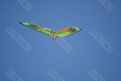 Kite in the sky