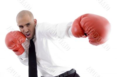 businessman in action wearing boxing gloves