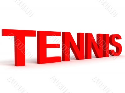 side view of tennis word