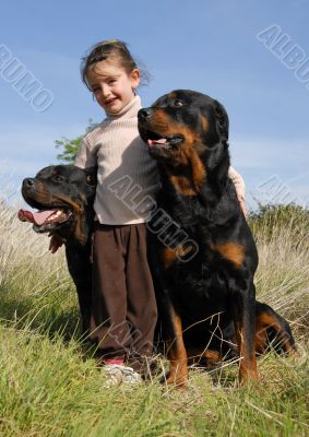 little girl and rottweilers
