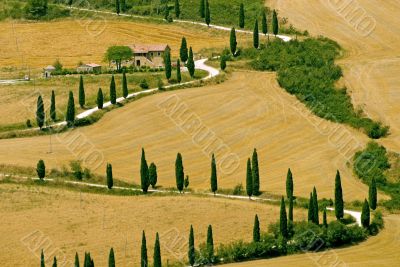 Famous winding road with cypresses in Tuscany
