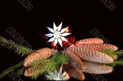 Wonderful christmas still life.