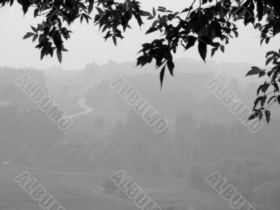 foggy scene