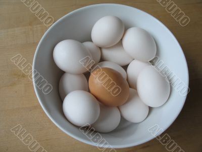 white and brown egg