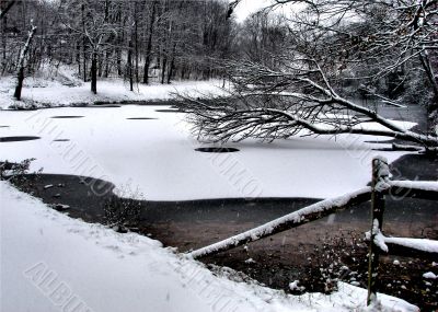 Winter Snow Winter Snow