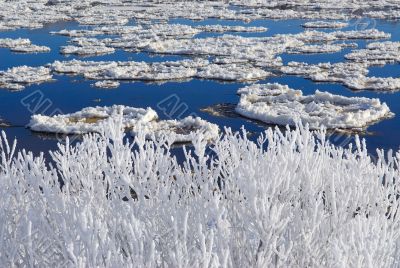 Hoarfrost on the river