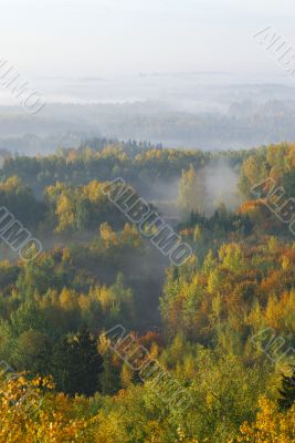 Autumn palette Autumn palette