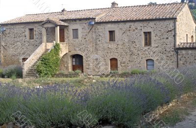 Sant`Antimo - Ancient house with lavender