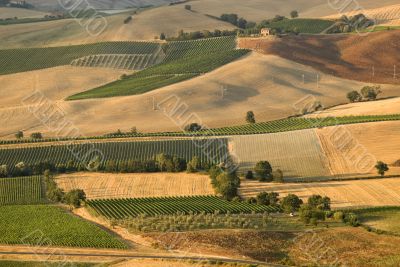 Panoramic view from Montalcino (Siena)