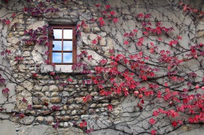 Medieval architecture Medieval architecture
