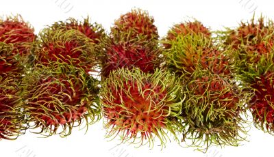 Rambutan, exotic fruit