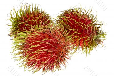 Rambutan, exotic fruit