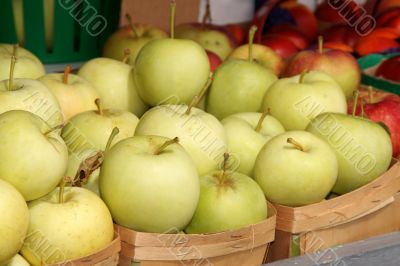 Apples at the market