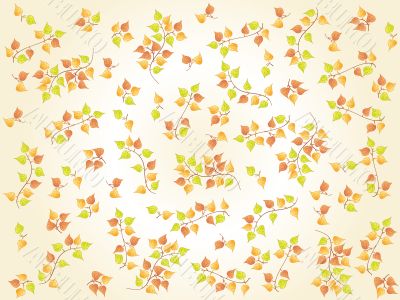 autumn autumn