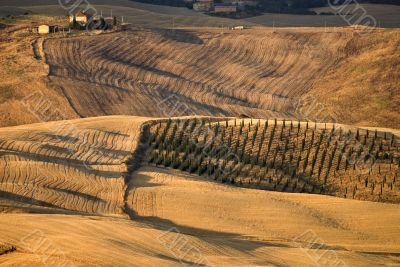 Panoramic view from Montalcino (Siena)