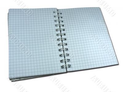 opened blank squared notebook isolated over white background