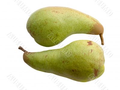 Two green pears