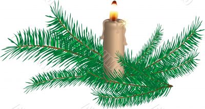 Candle and spruce twigs